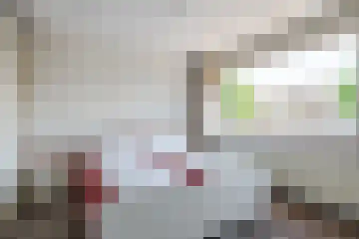 Schermerstraat 14 Eindhoven thumbnail 21