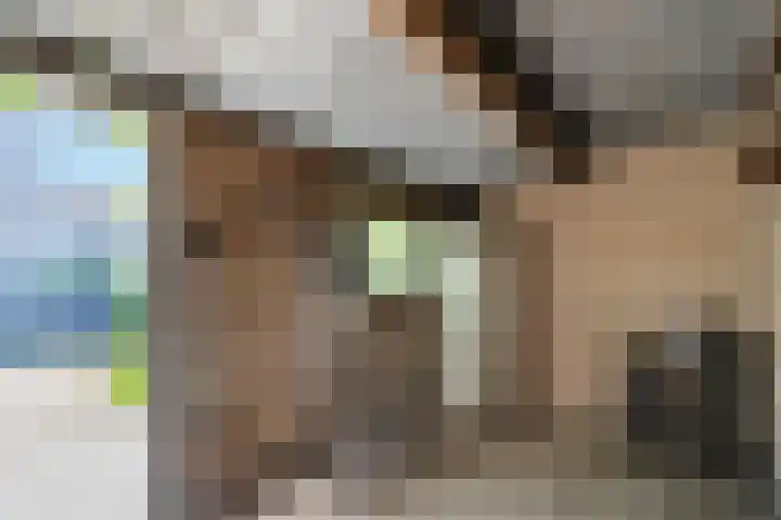 Schermerstraat 14 Eindhoven thumbnail 31