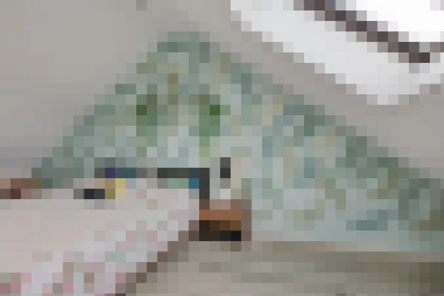 Schermerstraat 17 Eindhoven thumbnail 34