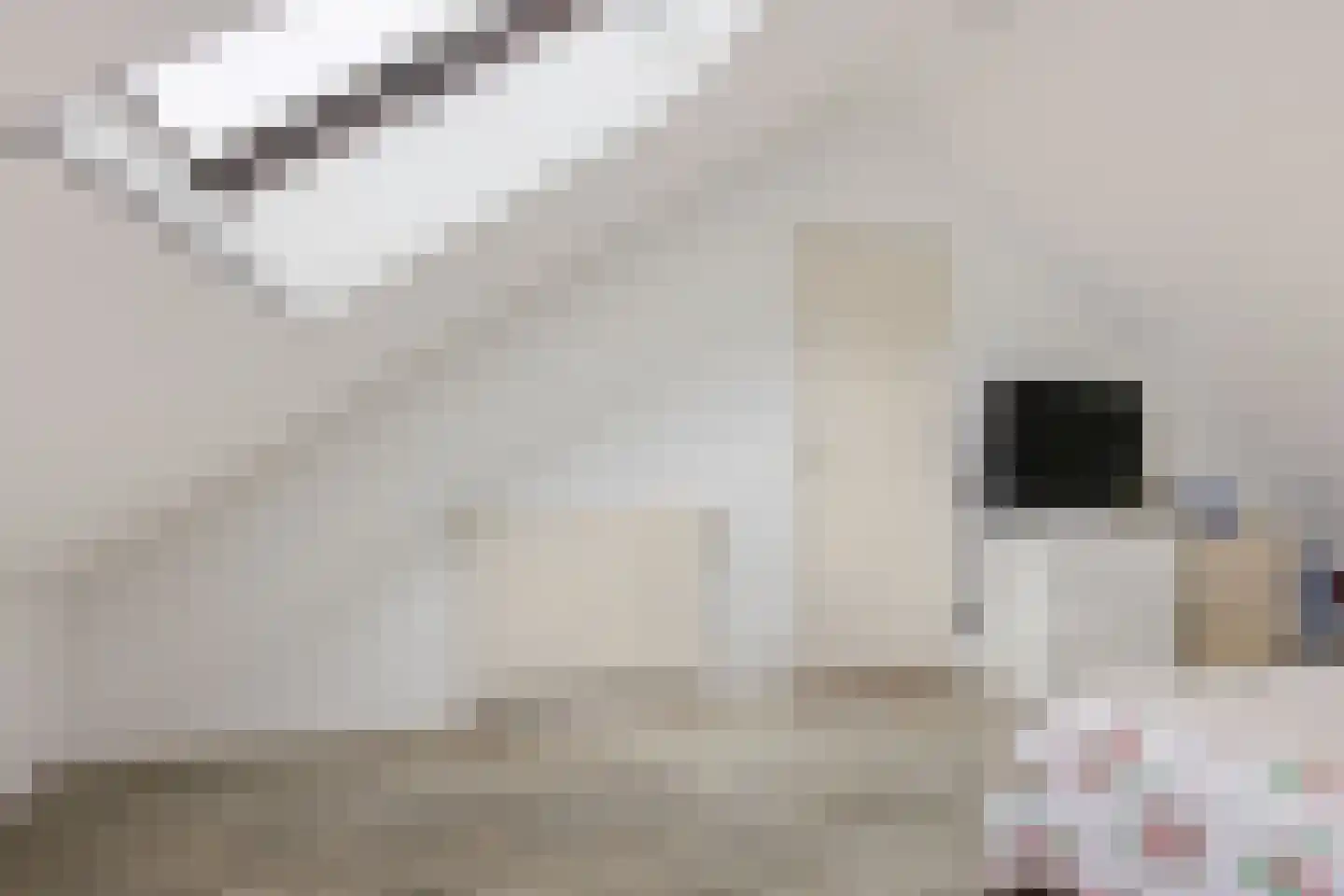 Schermerstraat 17 Eindhoven thumbnail 36