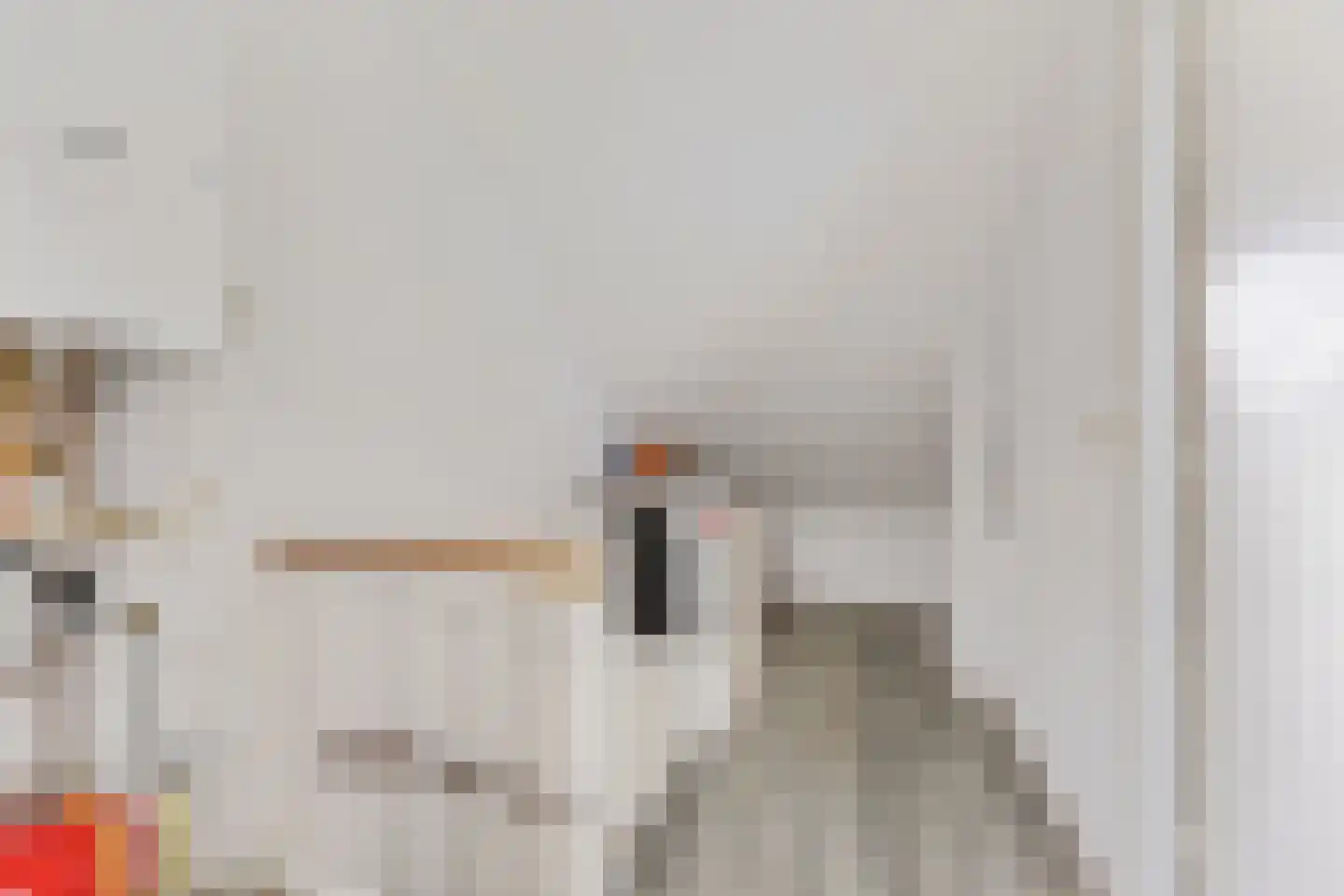 Schermerstraat 17 Eindhoven thumbnail 37