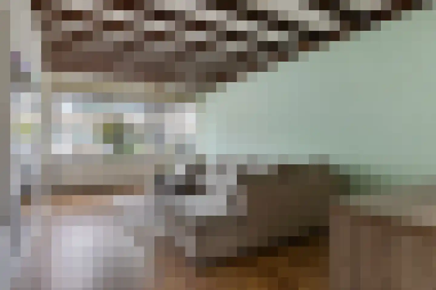 Schermerstraat 17 Eindhoven thumbnail 5