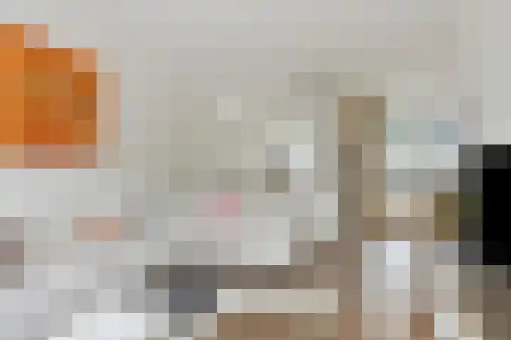 Schermerstraat 20 Eindhoven thumbnail 11