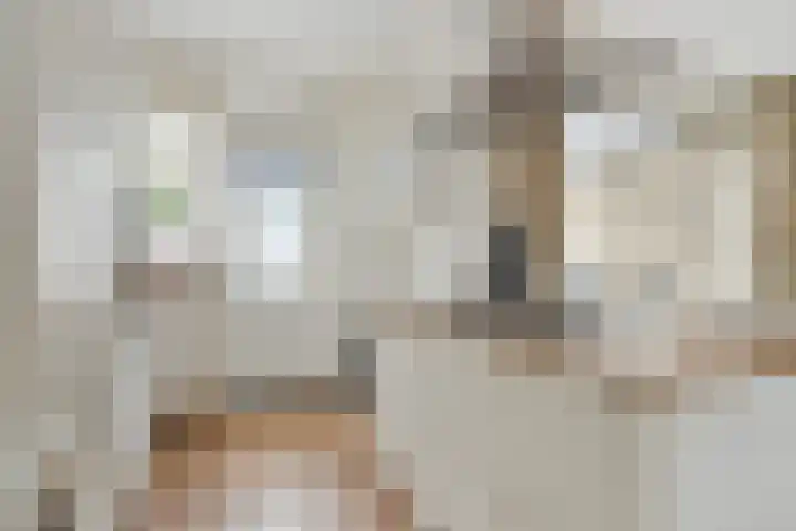 Schermerstraat 20 Eindhoven thumbnail 17