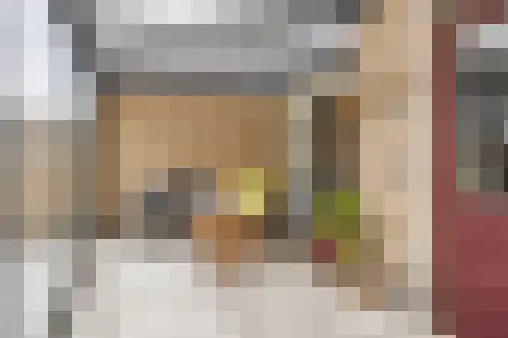 Schermerstraat 20 Eindhoven thumbnail 22