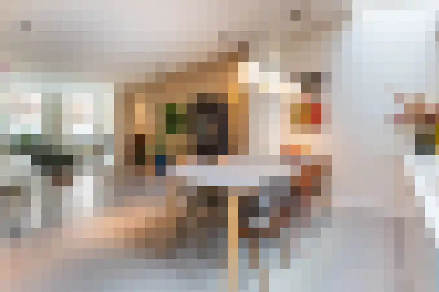 Schermerstraat 25 Haarlem thumbnail 10