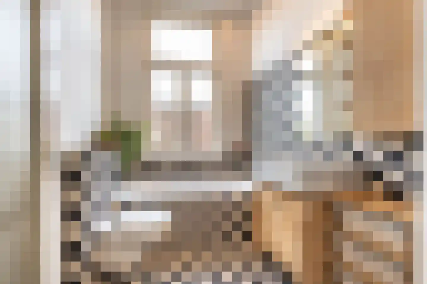 Schermerstraat 25 Haarlem thumbnail 18