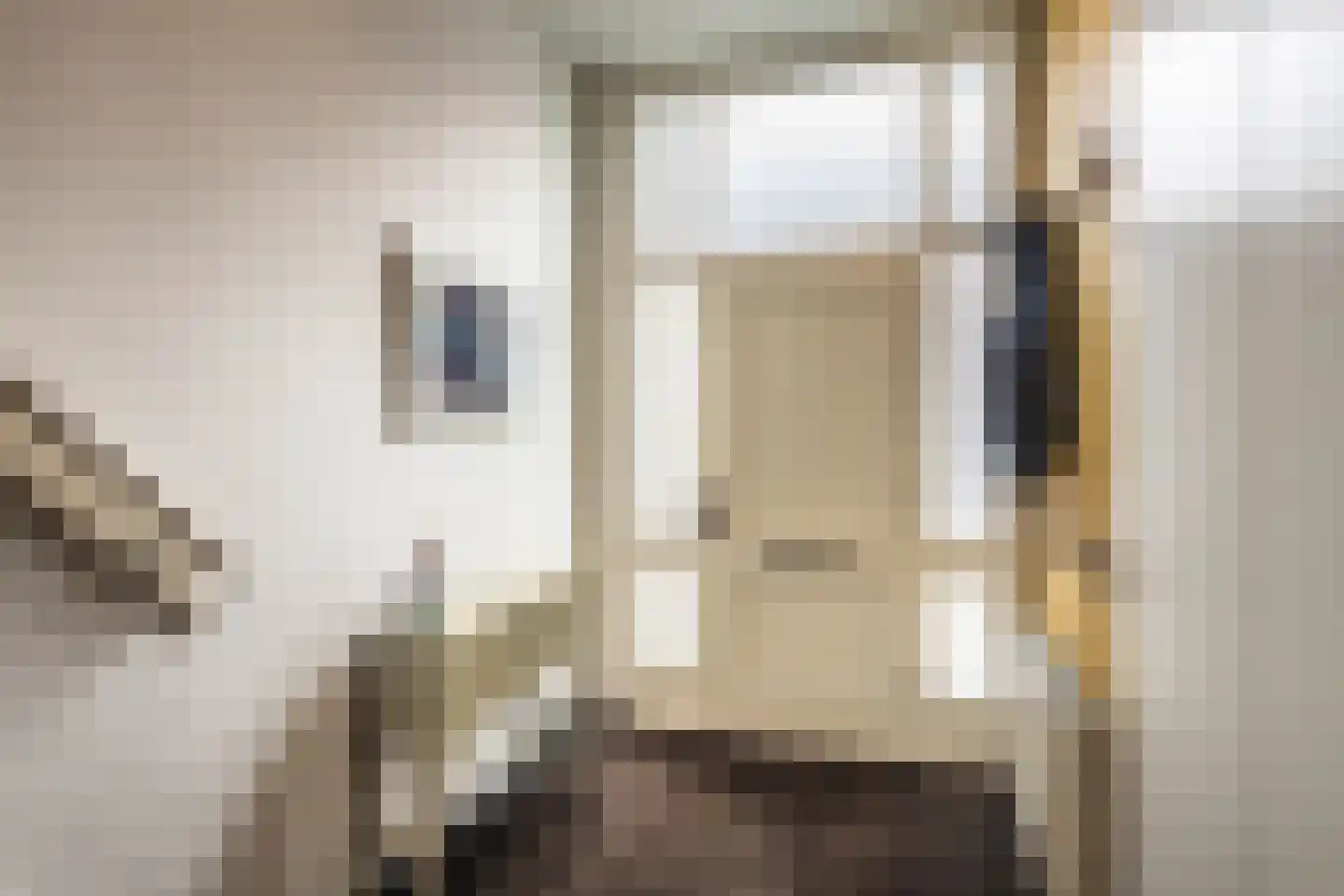 Schermerstraat 25 Haarlem thumbnail 6