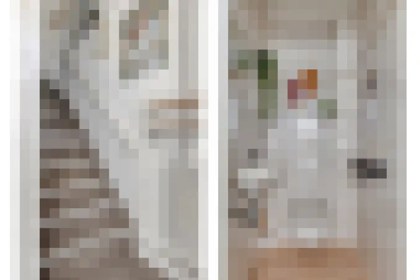Schermerstraat 4 Eindhoven thumbnail 16