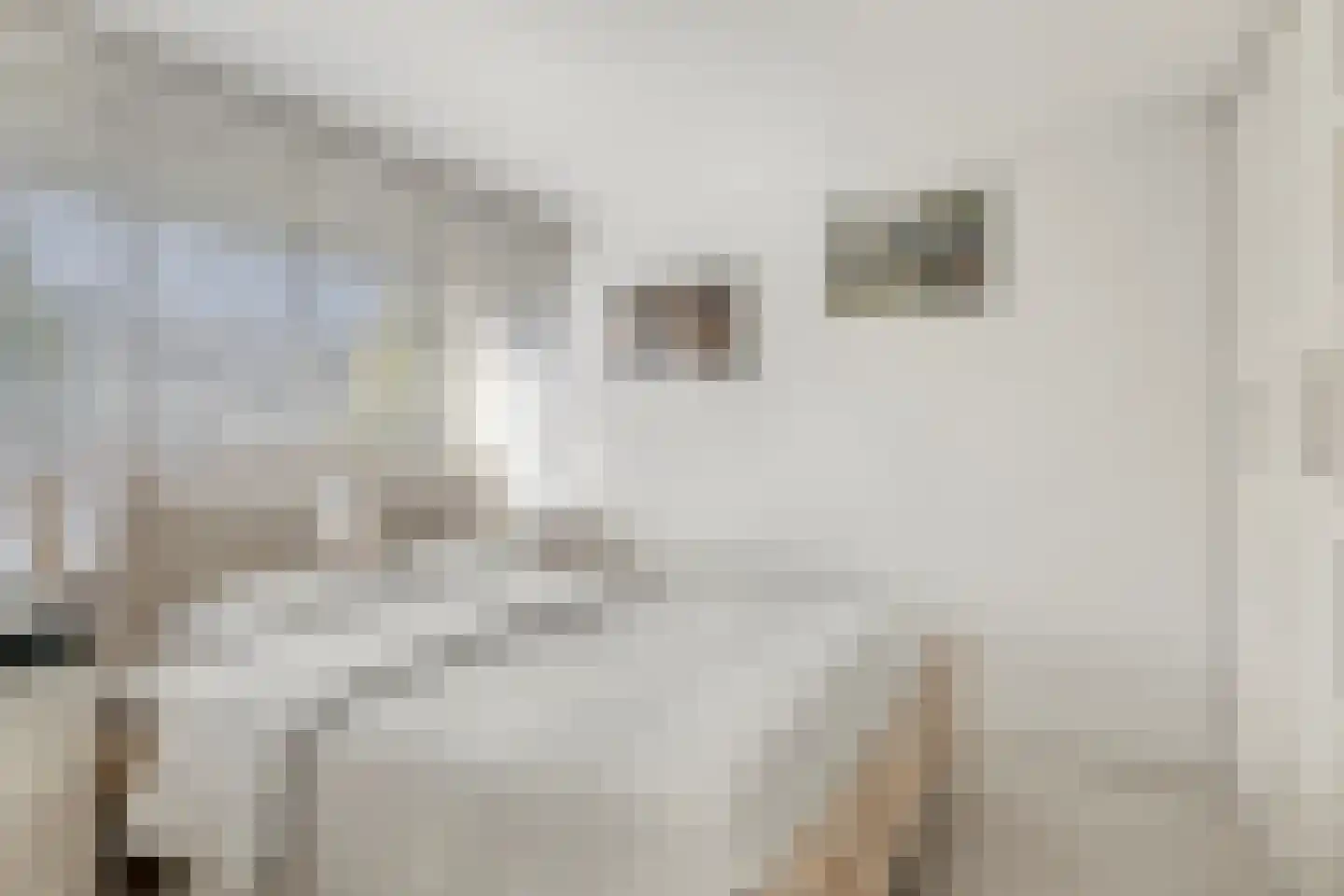 Schermerstraat 4 Eindhoven thumbnail 20