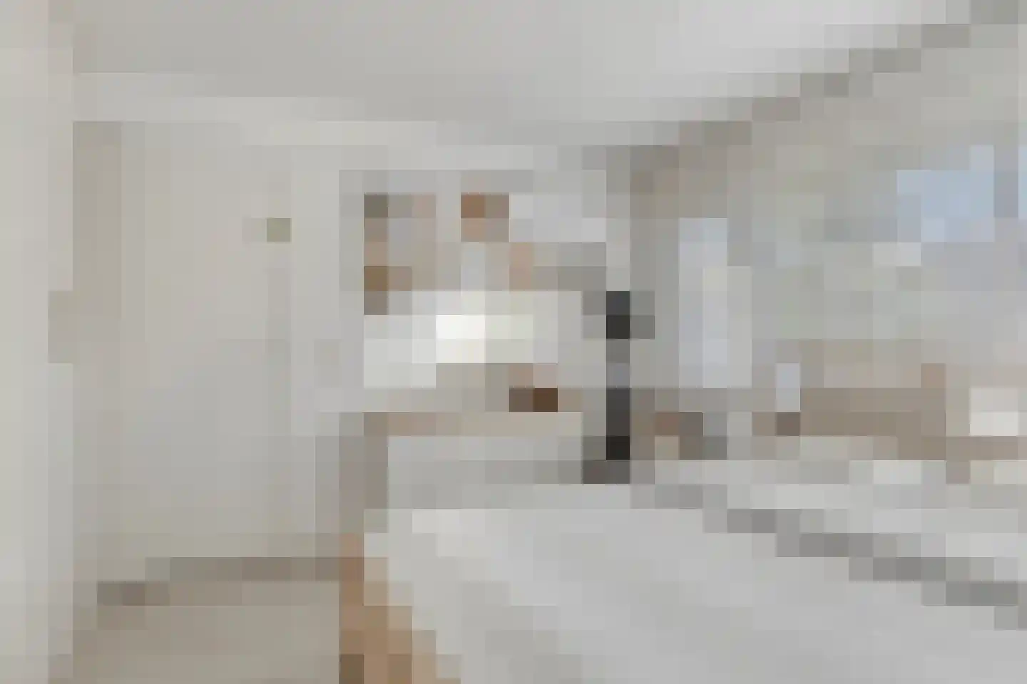 Schermerstraat 4 Eindhoven thumbnail 21
