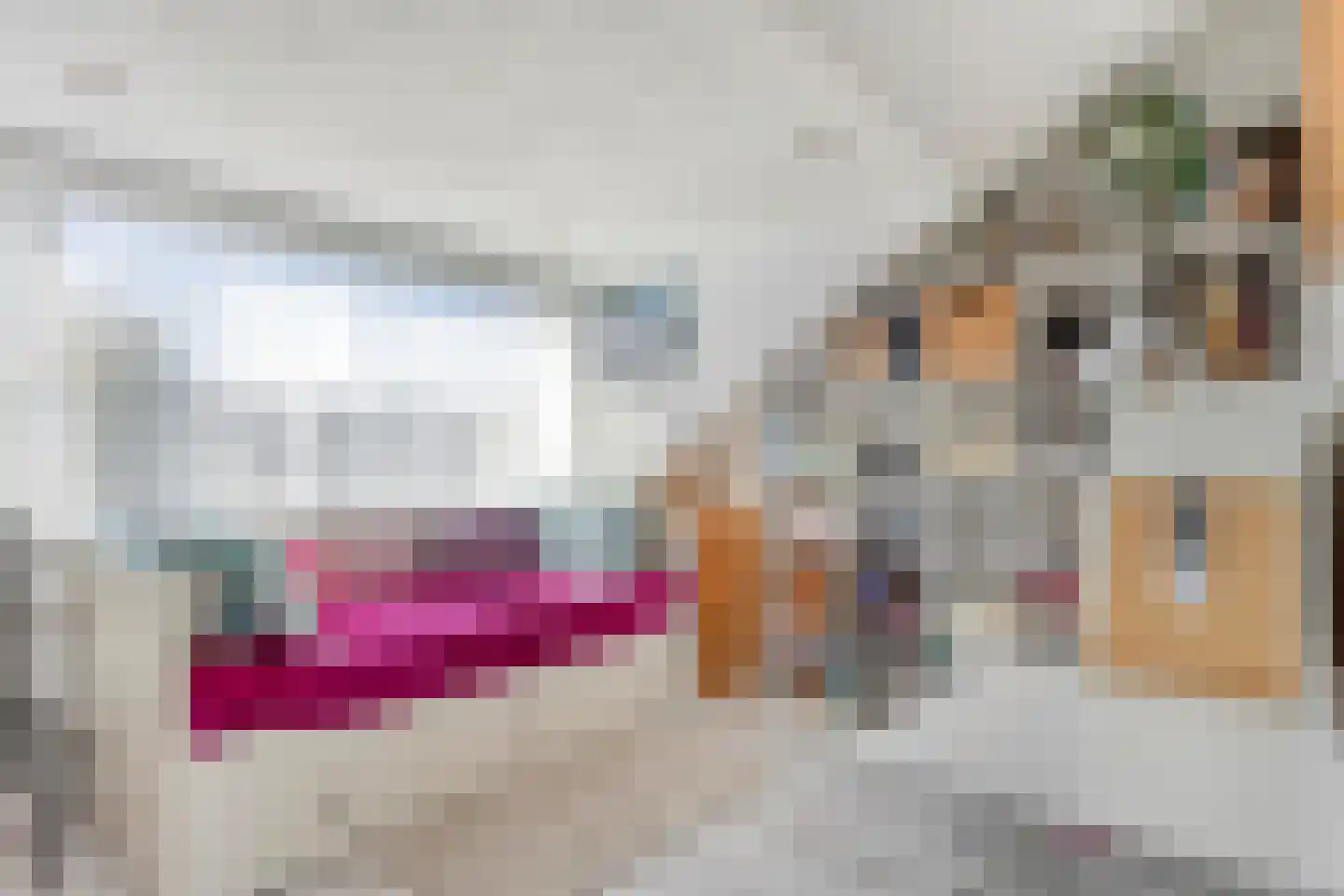 Schermerstraat 4 Eindhoven thumbnail 27