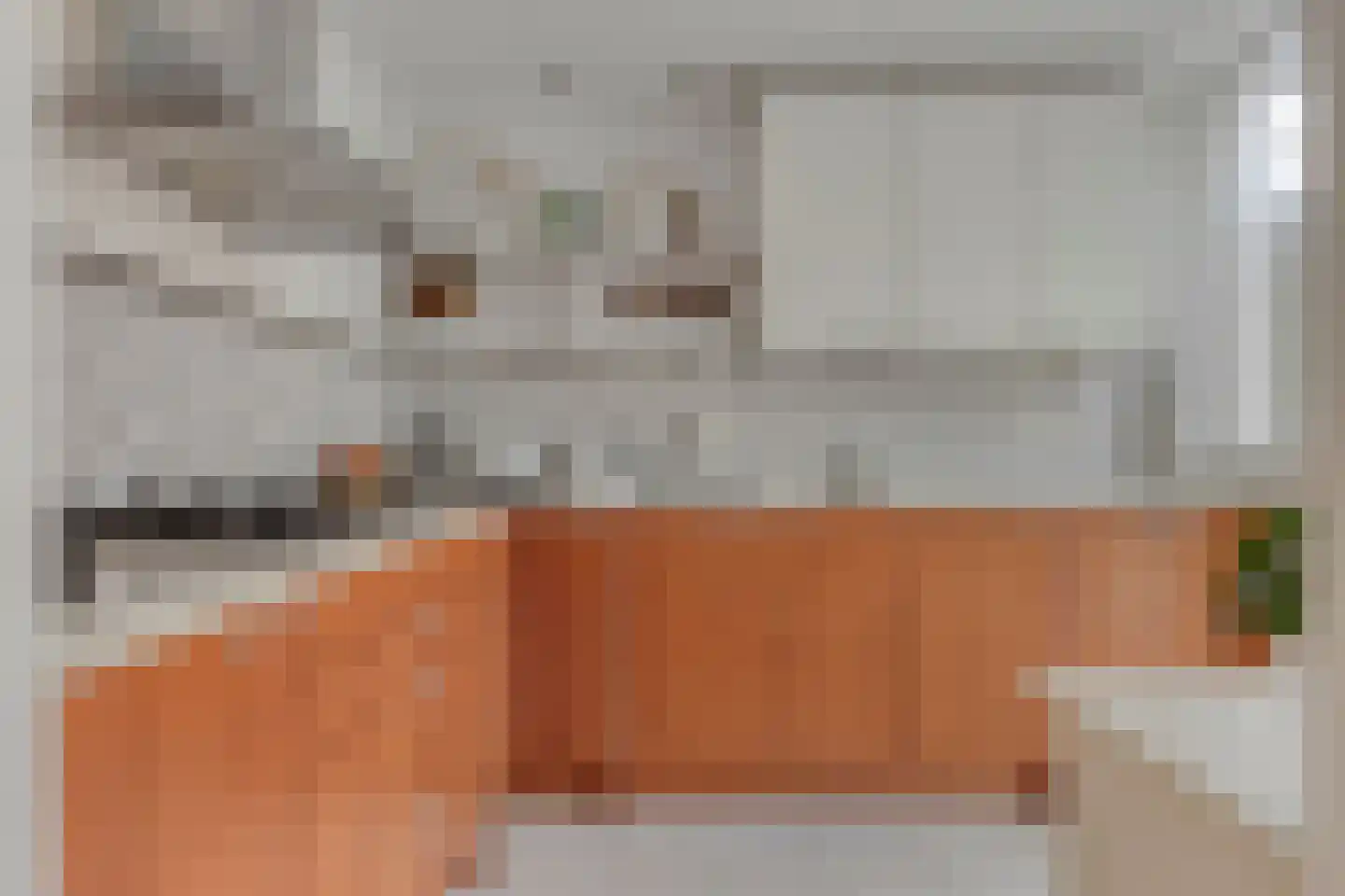 Schermerstraat 4 Eindhoven thumbnail 4