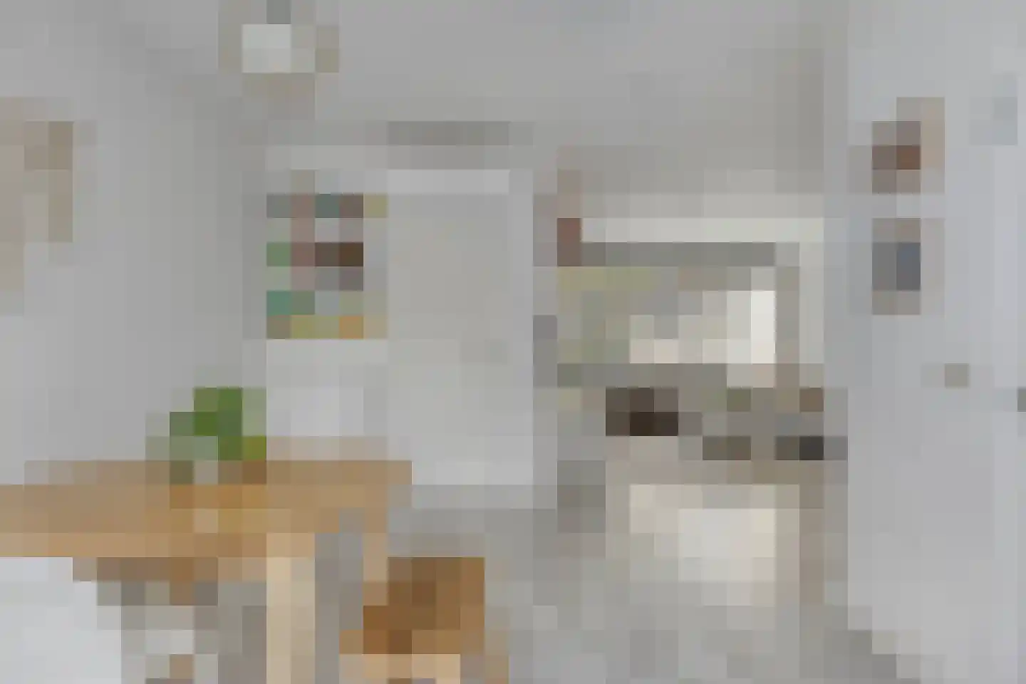 Schermerstraat 4 Eindhoven thumbnail 8
