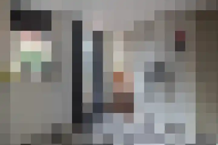 Schermerweg 23 Alkmaar thumbnail 18
