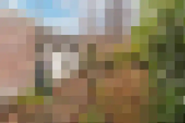 Schermerweg 23 Alkmaar thumbnail 37