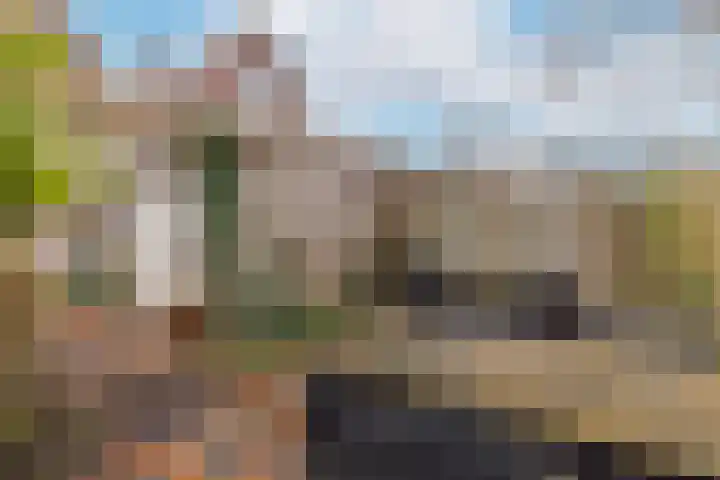Schermerweg 23 Alkmaar thumbnail 39