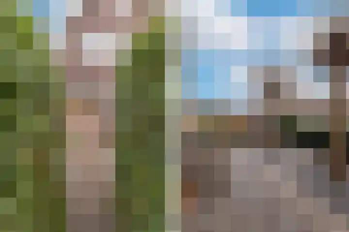 Schermerweg 23 Alkmaar thumbnail 43
