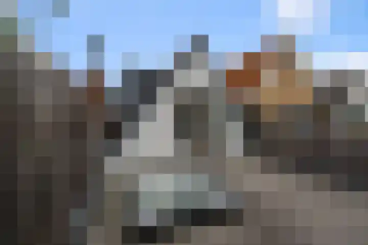 Schermerweg 26 Alkmaar thumbnail 22