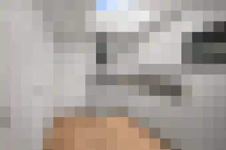 Schermerweg 26 Alkmaar thumbnail 8