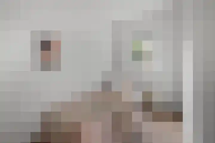 Schermerweg 26 Alkmaar thumbnail 9