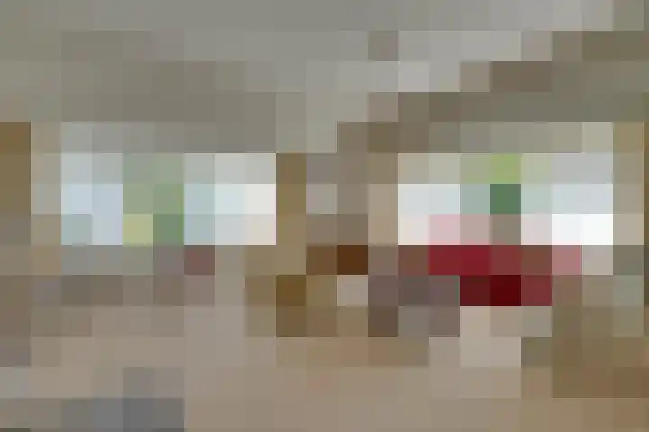 Schermerweg 41 Alkmaar thumbnail 12