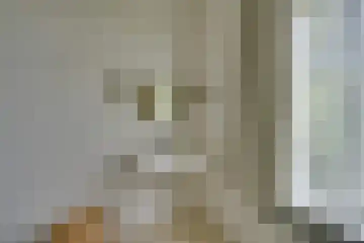 Schermerweg 41 Alkmaar thumbnail 33