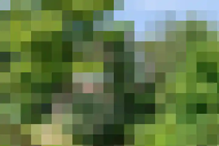 Schermerweg 41 Alkmaar thumbnail 4