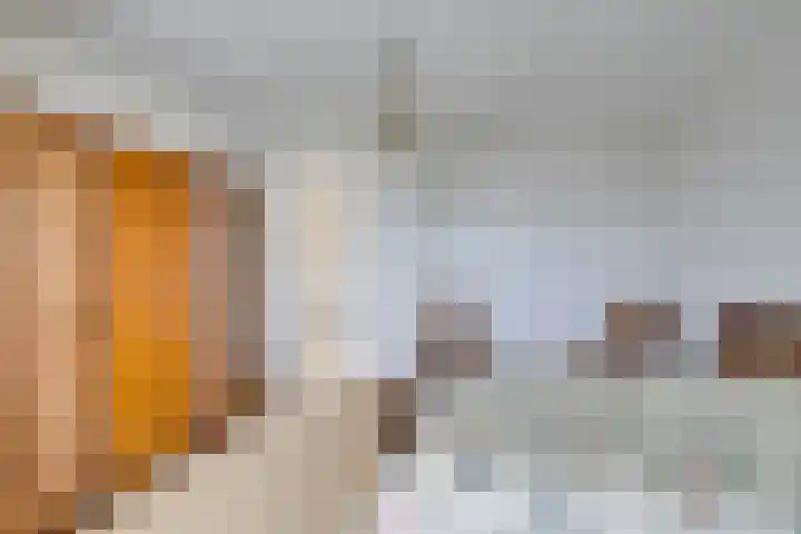 Schermerweg 41 Alkmaar thumbnail 41