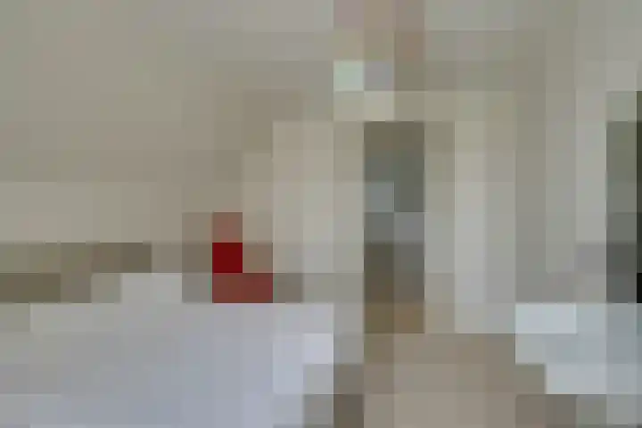 Schermerweg 41 Alkmaar thumbnail 47