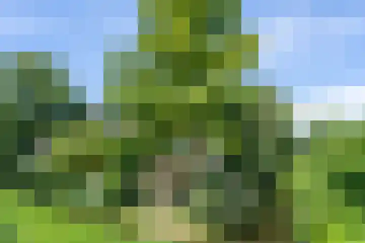 Schermerweg 41 Alkmaar thumbnail 5
