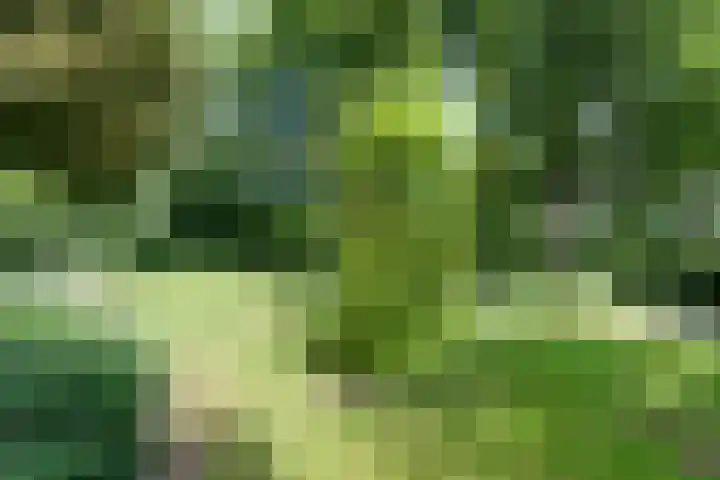 Schermerweg 41 Alkmaar thumbnail 64