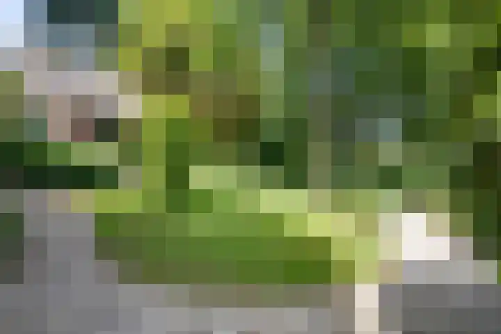 Schermerweg 41 Alkmaar thumbnail 66