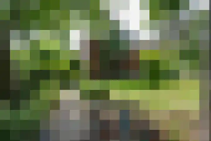 Schermerweg 41 Alkmaar thumbnail 67
