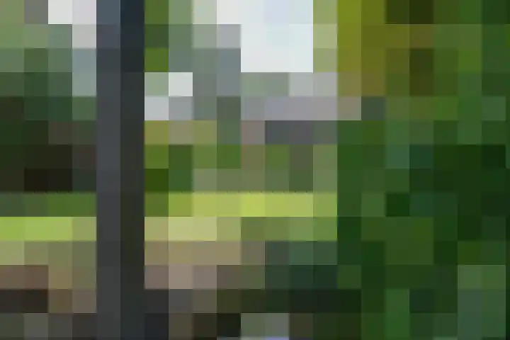 Schermerweg 41 Alkmaar thumbnail 68