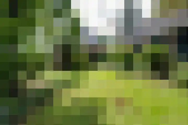 Schermerweg 41 Alkmaar thumbnail 69