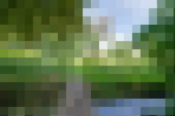 Schermerweg 41 Alkmaar thumbnail 70