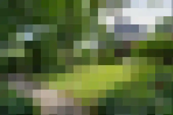 Schermerweg 41 Alkmaar thumbnail 71