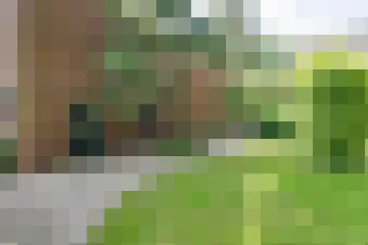 Schermerweg 41 Alkmaar thumbnail 72