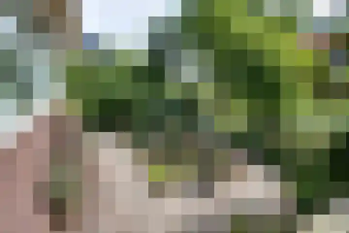 Schermerweg 41 Alkmaar thumbnail 74