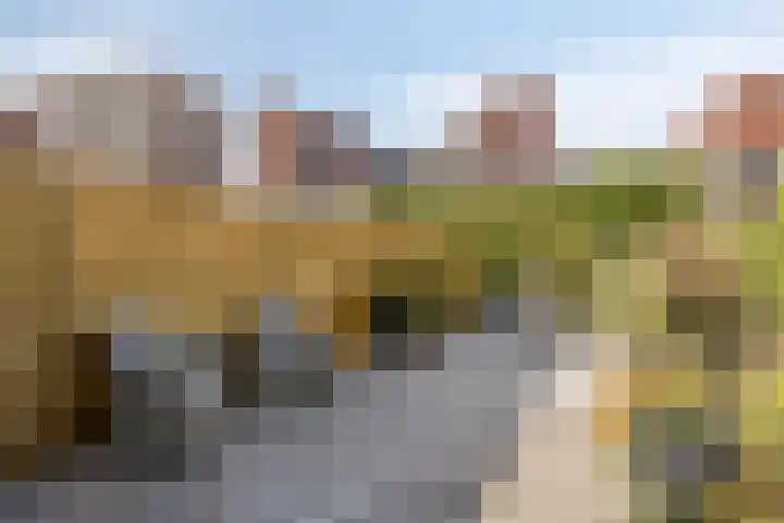 Schermerweg 56 Alkmaar thumbnail 23