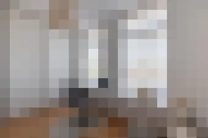 Schermerweg 60 Alkmaar thumbnail 38