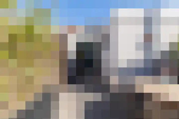 Schermerweg 60 Alkmaar thumbnail 43