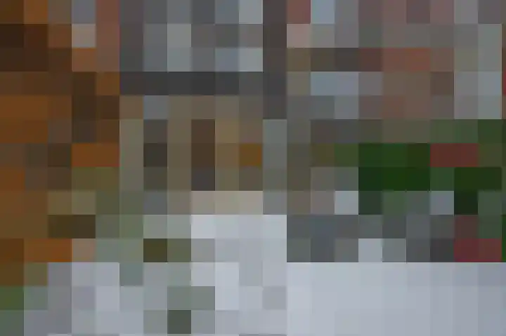 Schermerweg 70 Alkmaar thumbnail 26