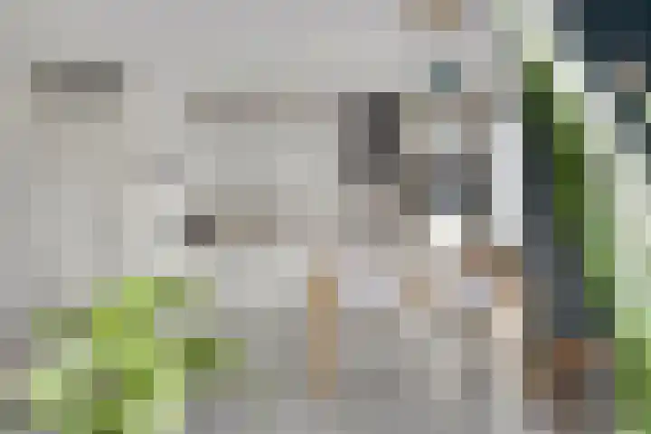 Schermerweg 76 Alkmaar thumbnail 13