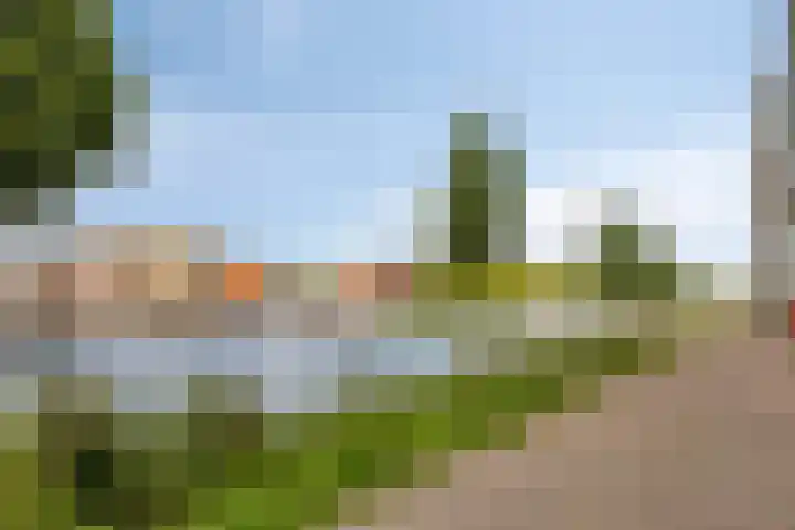 Schermerweg 76 Alkmaar thumbnail 26