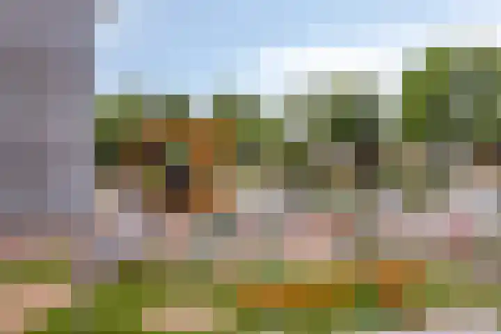 Schermerweg 76 Alkmaar thumbnail 27