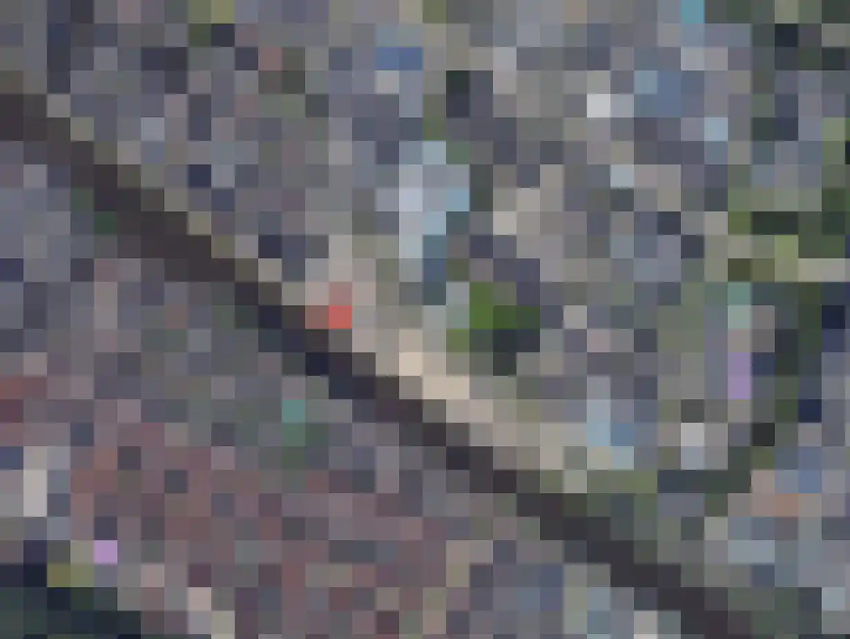 Schermerweg 94 D 3 Alkmaar thumbnail 11