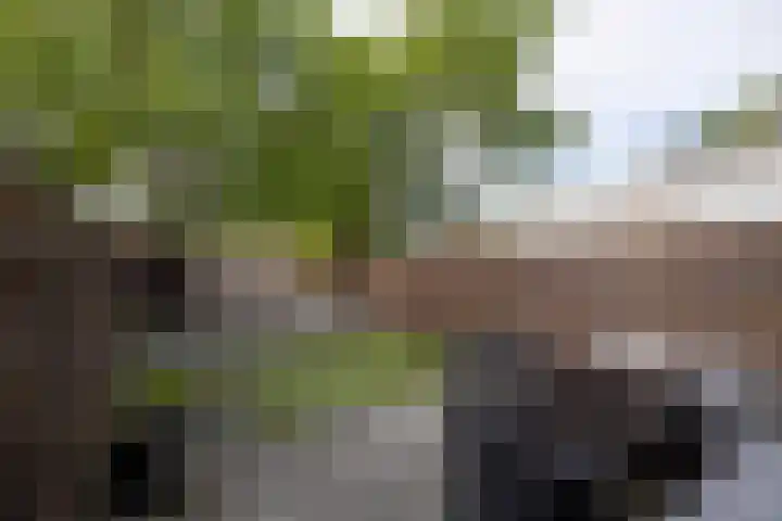 Schermhorst 14 Doetinchem thumbnail 14