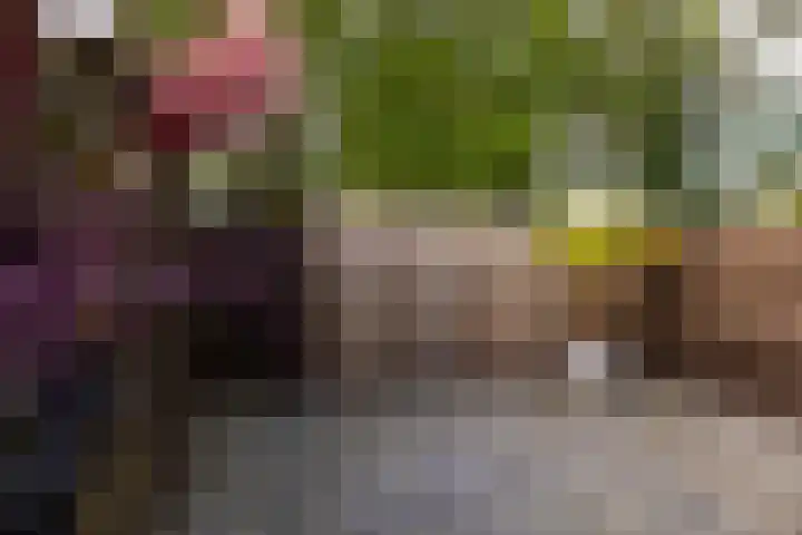 Schermhorst 14 Doetinchem thumbnail 15